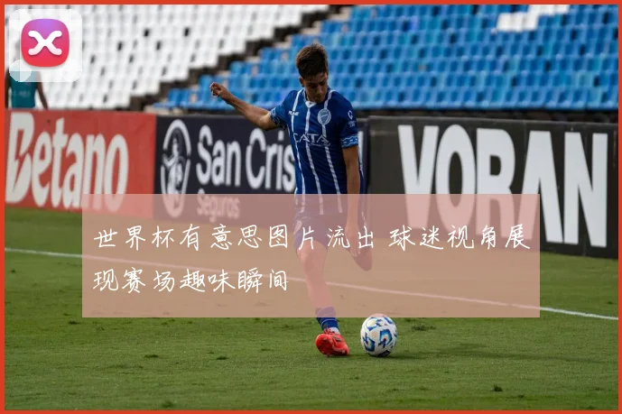 世界杯有意思图片流出 球迷视角展现赛场趣味瞬间