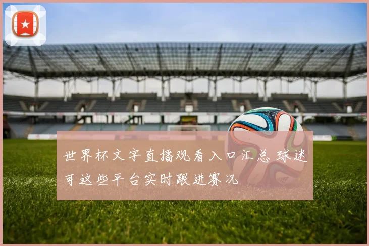 世界杯文字直播观看入口汇总 球迷可这些平台实时跟进赛况