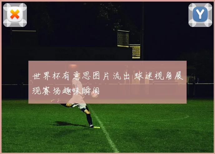 世界杯有意思图片流出 球迷视角展现赛场趣味瞬间