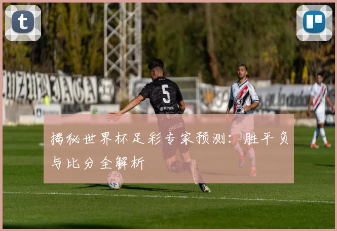 揭秘世界杯足彩专家预测：胜平负与比分全解析