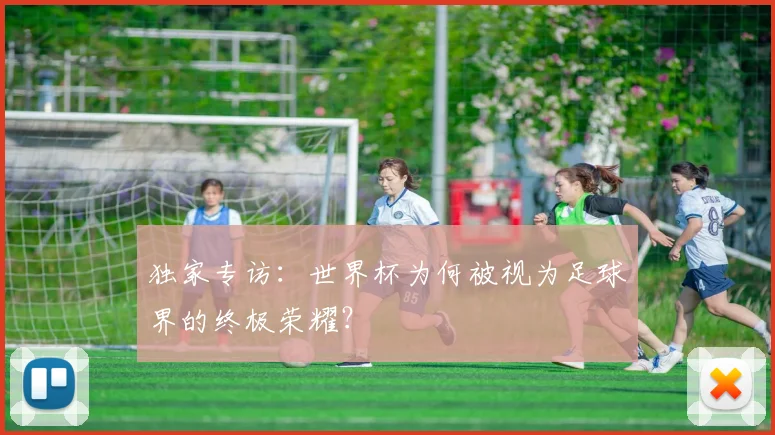 独家专访：世界杯为何被视为足球界的终极荣耀？